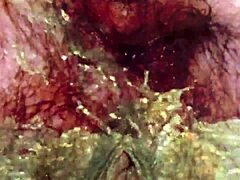 Dark Lantern bellezza e bestia in sesso raw selvaggio