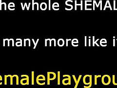 くそ、このレディーボーイの痴女がプロのようにチンポを吸う