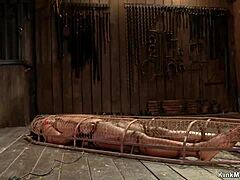 Look at this ebony in tight back-arch bondage getting fingered.