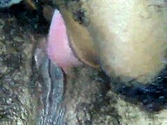 用舌头舔舐和吸吮那个湿润的毛茸茸阴部