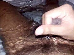 Is this gay desi fun turning you on?