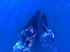 Celebrity Expectations Versus Harsh Reality in Life