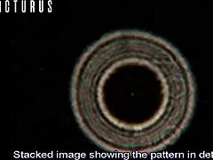 Celebrity Expectations Versus Harsh Reality in Life