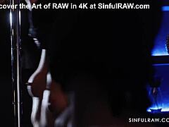 In the shadowy chamber, masked milfs in lingerie unleashed a rough sensual orgy with pornstars joining the group frenzy.