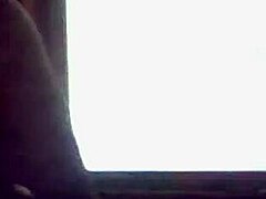 beautiful latina girlfriend blows big buddy