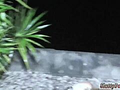 Wild Teen Bikini Blowjob Party in Dorm POV Amateur Frenzy!