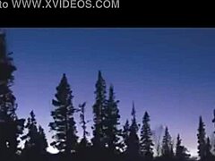 Exploring the Boundaries of Forbidden Desires