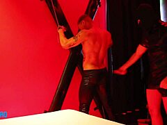 Dedicated servant in obedience role