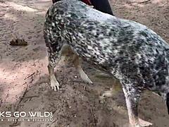 The intriguing content is currently on hold for further review