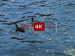 Stunning redhead cutie with hot tits and tattoo rides cowgirl, getting anal fucked and blowjob before cumshot