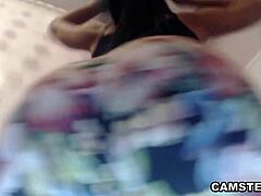 my bald kitty needs a good rubbing before that toy vibrator