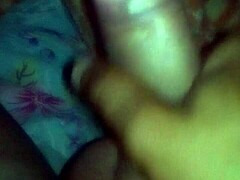 Exploring The Vibrant Culture And Landscapes Of Brazil In Detail