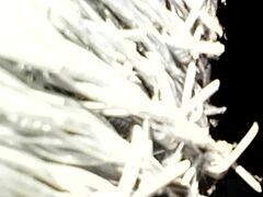 punheteiro de plantão stroking daily with sexy tattoo fetish