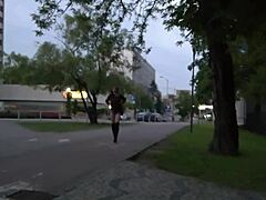 Let's Explore the Outdoor Public City Together