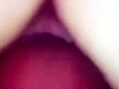 Early morning routine with a fresh start