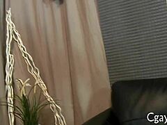 Homosexual sex blogs