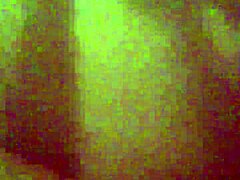 Latina loves riding that big dick 😍