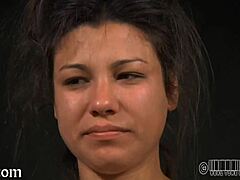 Ever wonder what dark secrets hide in bondage clips?