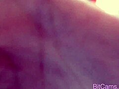 brazil couple live webcam fucking with blowjob