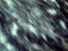 twilight blowjob under the stars!