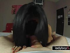 Intense Handcuffed Anal Doggystyle for Big Tits Ladyboy After Sloppy Blowjob