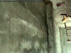 Primastra chupamela aqui en la calle nadie nos va a ver 😏