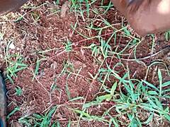 Cleaning My Cock Today Feels So Sexy