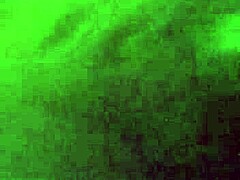 Lechita just out exploring the world