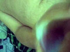 Lechita just out exploring the world