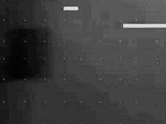 Amateur Sex Adventures In India