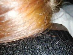 Assanhadopiladoce enjoys a steamy session with a stunning Russian redhead in part 1