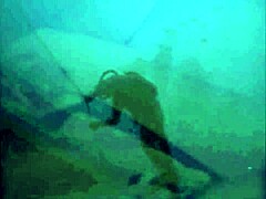 dark lantern presents the dragonfly 😊