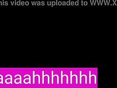 el mejor audio cornudo?