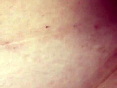 Plays alone with the tail