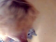 Blonde Latina in Lingerie Gets Deep Anal in Abandoned House