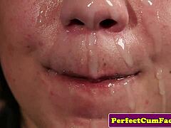 british lingerie babe gives blowjob and facial in front of voyeur