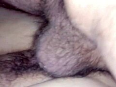 Wife's risqué encounter with a professional escort