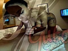 Tattooed bia morena gives sloppy blowjob to big cock