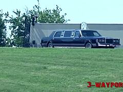 Big Boobs Brunette Gets FMM Action!