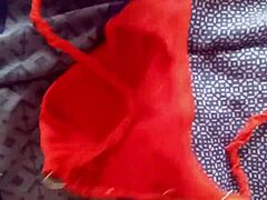 cum in my sister-in-law's panties