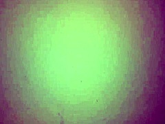 Rica Mamada De Mi Colombiana