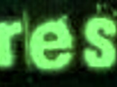 Is this hardcore BDSM slave porn for you?