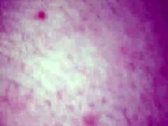 Amateur couple's first video