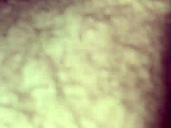 Willy and jesse with matthew sharing bareback