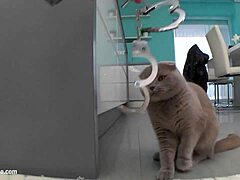 Lucy Heart Gets Huge Creampie Load!