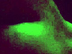 My delicious wife is craving a threesome tonight