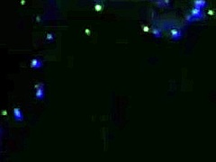 married neighbor invites hung guy for wild home action while alone