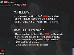 uncensored hentai animation teletha tessa testarossa virgin hardcore first experience