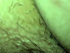 Stallion Ass Pussy Asshole Action