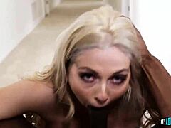 bbc dude gets his large cock sucked in interracial sucking session